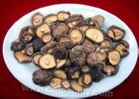 Guangang shiitake mushroom