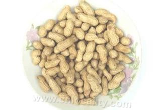 Wusha peanut