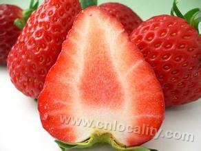 Changping strawberry