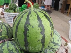 Sanshigang watermelon