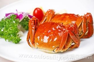 Huangpihu Chinese mitten crab