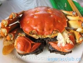 Jiaoganghu Chinese mitten crab