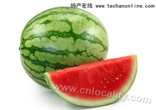 Changmihong Shaozi Melon