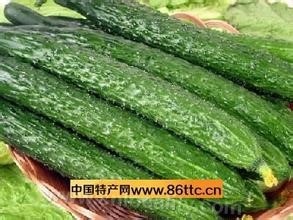 Autumn cucumber of Pan Liuyuzhuang