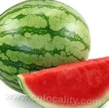 Tiefo seedless watermelon