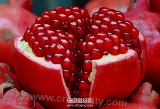 Xiaoxian pomegranate