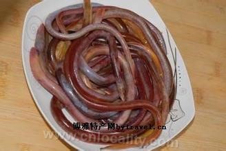 Blood eel of Shaxi