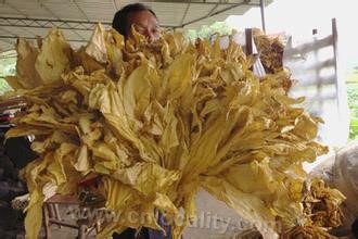 Nanping flue-cured tobacco