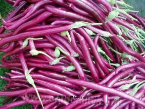 Guoshan vegetables