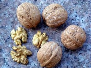 Ningshan walnut