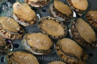 Lianjiang abalone