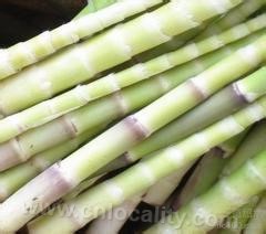 Wild hemp bamboo shoots