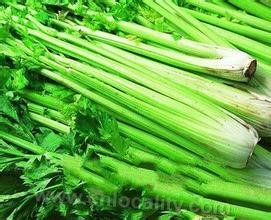 Tianjin solid celery