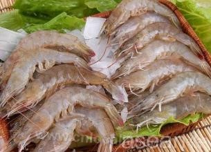 Dahuangbao shrimp