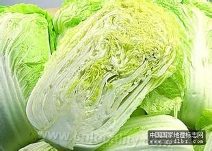 Chinese cabbage with yellow buds