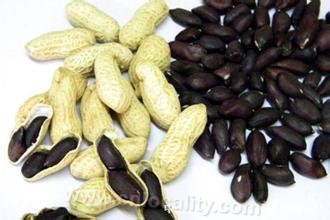 Peanut in Jixian county