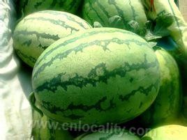 Taitou watermelon