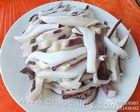 Hainan squid