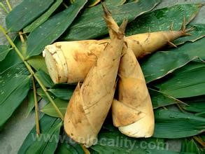 Rongchang bamboo shoots