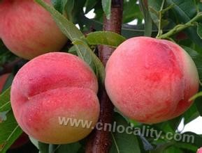 Jiangfushan peach