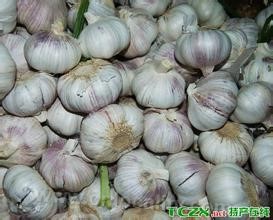 Hezhang garlic