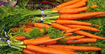 Yongqing carrot