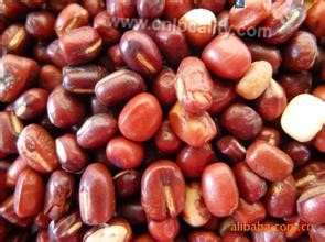 Wenan adzuki bean