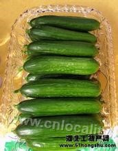 Dahuituo cucumber