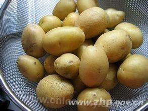 Zhenping potato