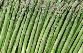 Ruicheng asparagus