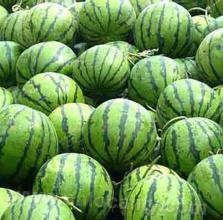 Watermelon in Yemawan, Jiayuguan