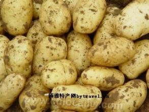 Baicheng potato