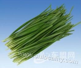 Xishan leek