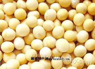 Xingxian soybean