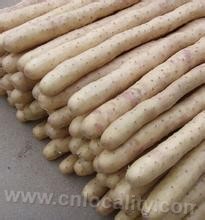 Anping white yam