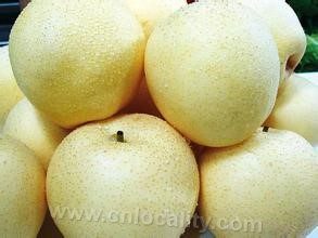 Crown pear, Hebei