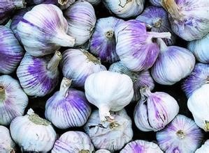 Xibali purple garlic