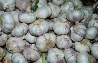 Xibali garlic