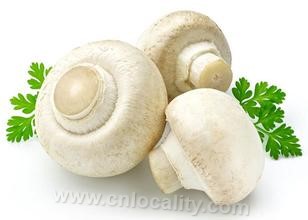 edible mushrooms originally from Zhangjiakou（张家口）area