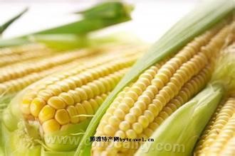 Wanquan corn