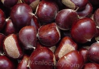 Zunhua chestnut