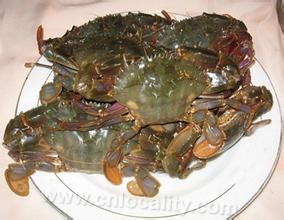 Tanghai river crab