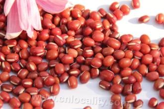 Hebei adzuki bean