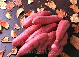 Mountain sweet potato