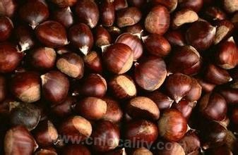 Xinglong chestnut