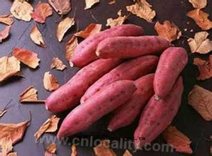 Lulong sweet potato