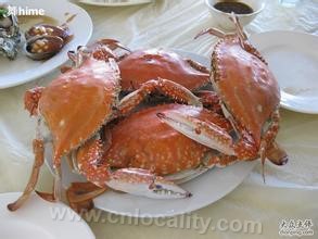 Sea crab