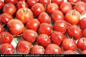 Hawthorn in Qili Slope