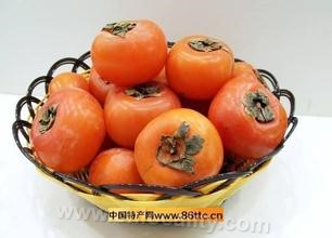 Wenxi persimmon