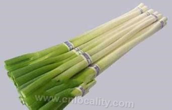 Wanrong scallion